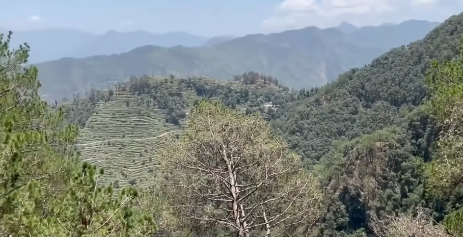 Kela Khera Town